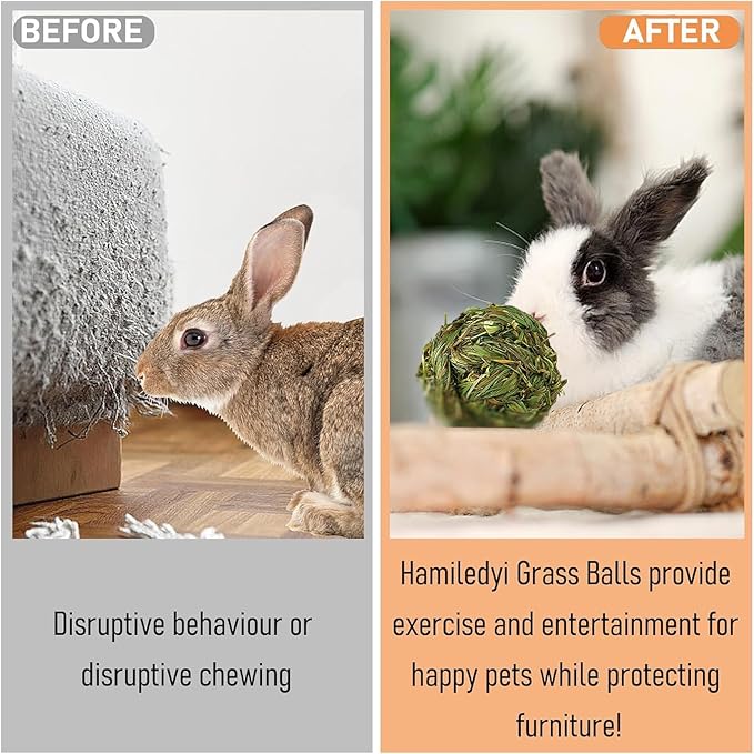 Hamiledyi 10 Pcs Rabbit Chew Ball Timothy Grass Ball Small Animal Activity Play Chew Toys Teeth Grinding for Bunny Rabbits Hamster Guinea Pigs Gerbils Chinchillas
