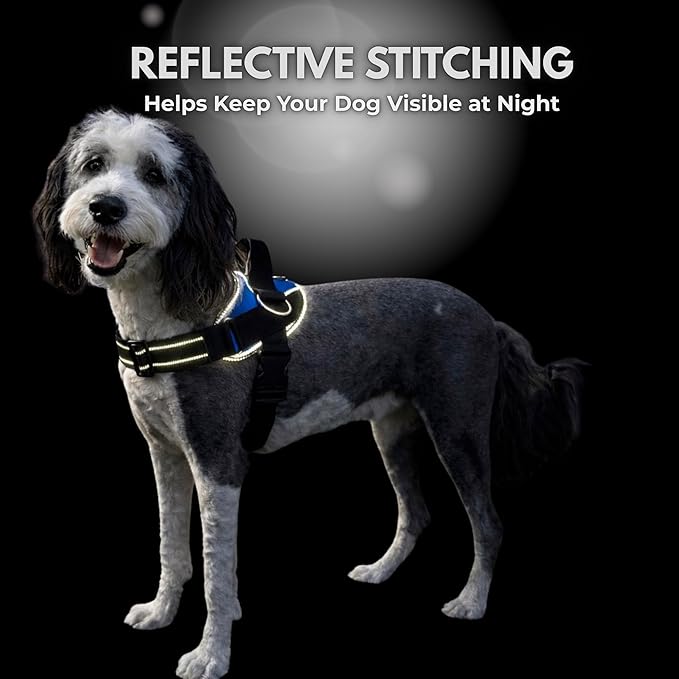 ShawnCo Essential Dog Harness, No-Pull Pet Vest with 3 Leash Clips, No Choke, Reflective, Adjustable and Padded, for Easy Walking and Training for Small, Medium and Large Dogs (Oceanic Blue, L)