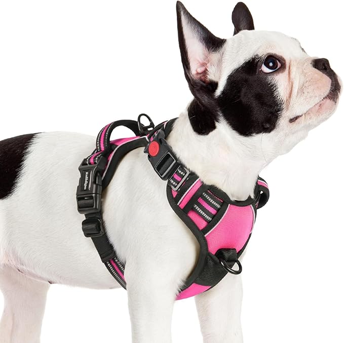 rabbitgoo Dog Harness Small Sized, No Pull Pet Harness with 3 Buckles, Adjustable Soft Padded Vest with Control Handle, Walking Reflective Pet Vest for Small Dogs, Rose Pink, S