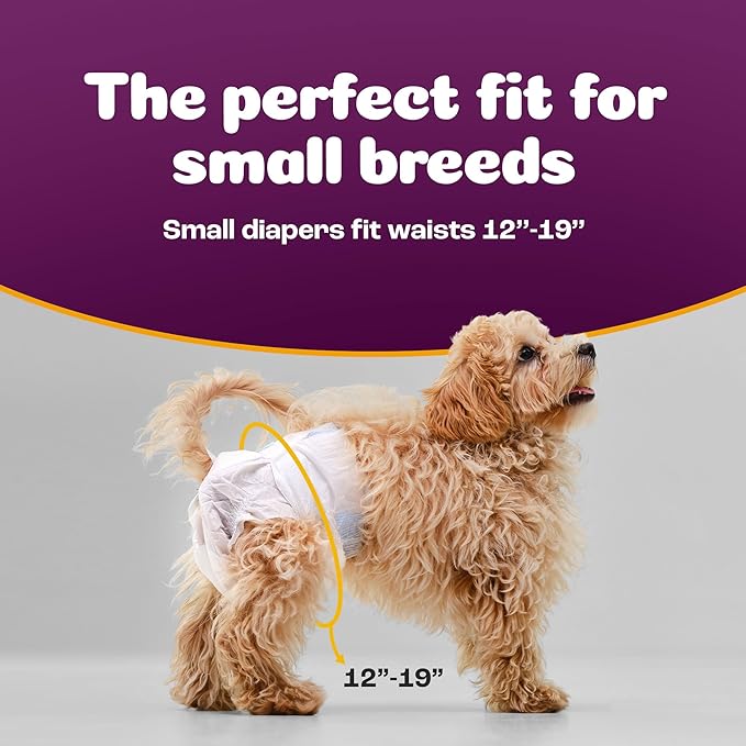 Inspire Pet Care Dog Diapers Female Dogs | Bulk Value Doggie Incontinence, Accidents, for Heat, Pee or Period and Housebreaking (Small (100 Count))