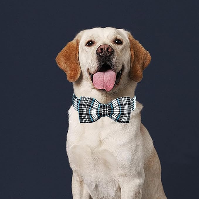 Lionheart glory Dog Bow Collar Blue and Black Plaid Dog Collar for X-Large Dogs,Boy Dog Collars with Bowtie Spring Summer Collars Soft Adjustable Pet Collar Bows