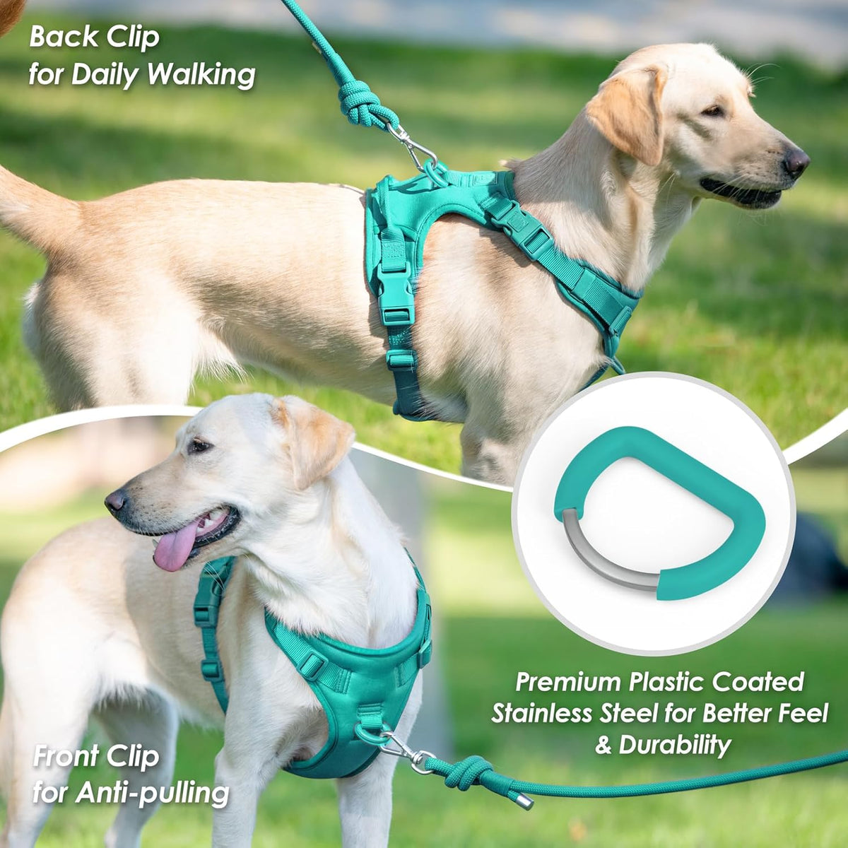 No Pull Dog Harness, Puppy Vest with Front Clip for Small Medium Large Sized Dog(MARRS Green,XS)