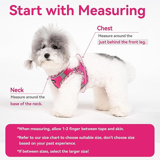 Petank Dog Harness for Small Medium Dogs No Pull, Puppy Harness and Leash Set for Walking, Running, Training, Small Dog Harness, Medium Dog Harness (Grey, XXS)