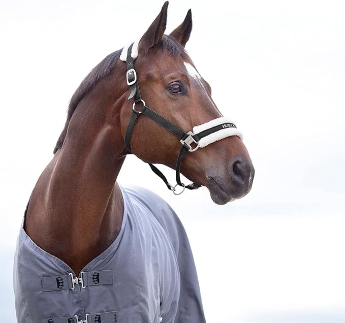 HORZE Howard Soft Fleece Padded Adjustable Polyester Horse Halter - Black - Pony