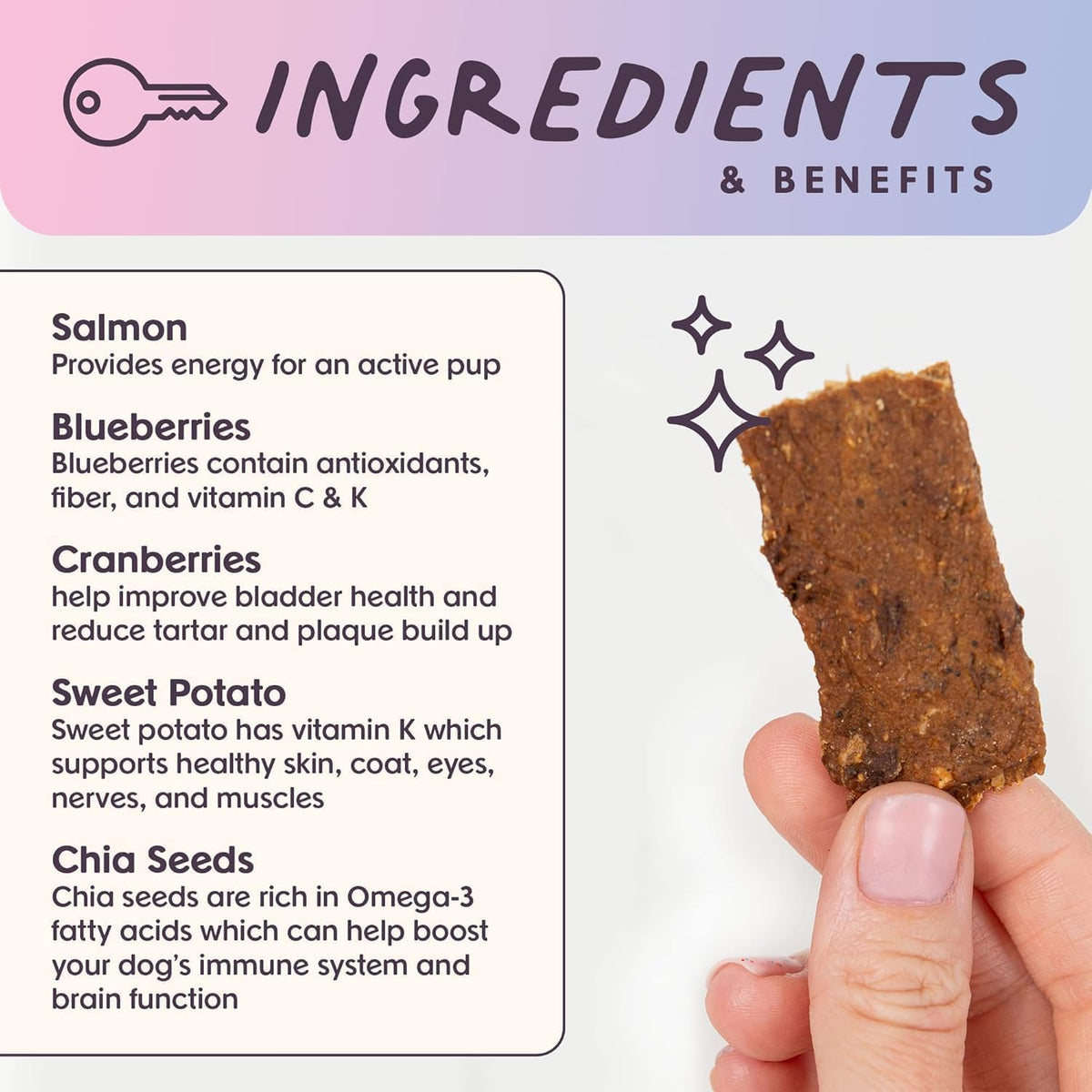 Bundle x Joy Superfood Dog Treats Salmon, Chicken or Beef Jerky Bars - Dog Treats for Snacks and Training – Made in USA - No Corn, Wheat or Soy – Poultry Free, 5oz or 16oz (Salmon (2 Lbs))