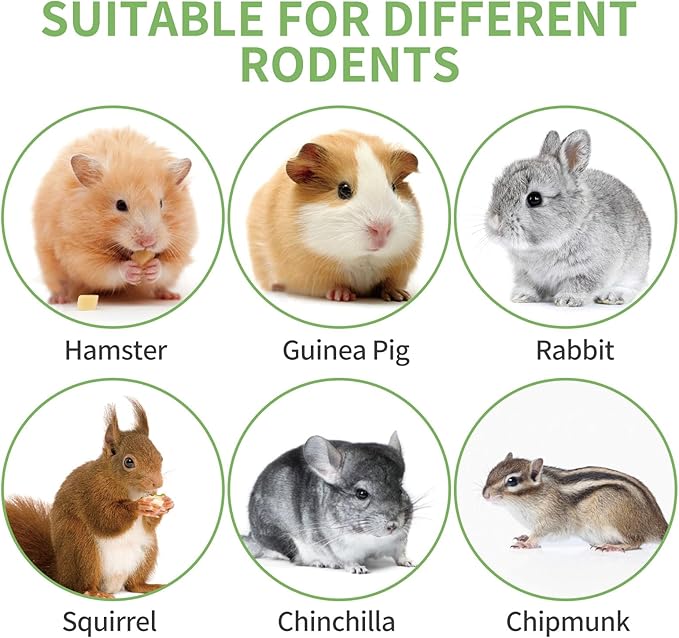 JONSΛNTY 25-28 PCS 330g Natural Sweet Bamboo, Chew Toys for Rabbit, Guinea Pig, Hamster, Chinchilla, Bunny, Rat, Teething Toy for Small Animal