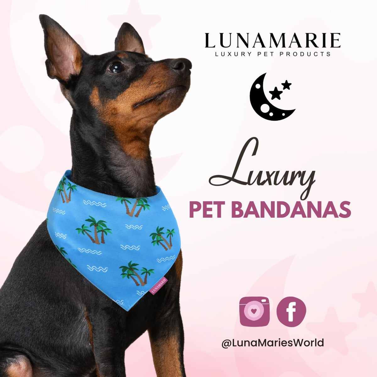 LunaMarie - Luxury Pet Birthday Bandanas -Premium & Silky Poly Fabric | 100% Handmade | Custom Shape Dual Layered (Playa Azul, Medium)
