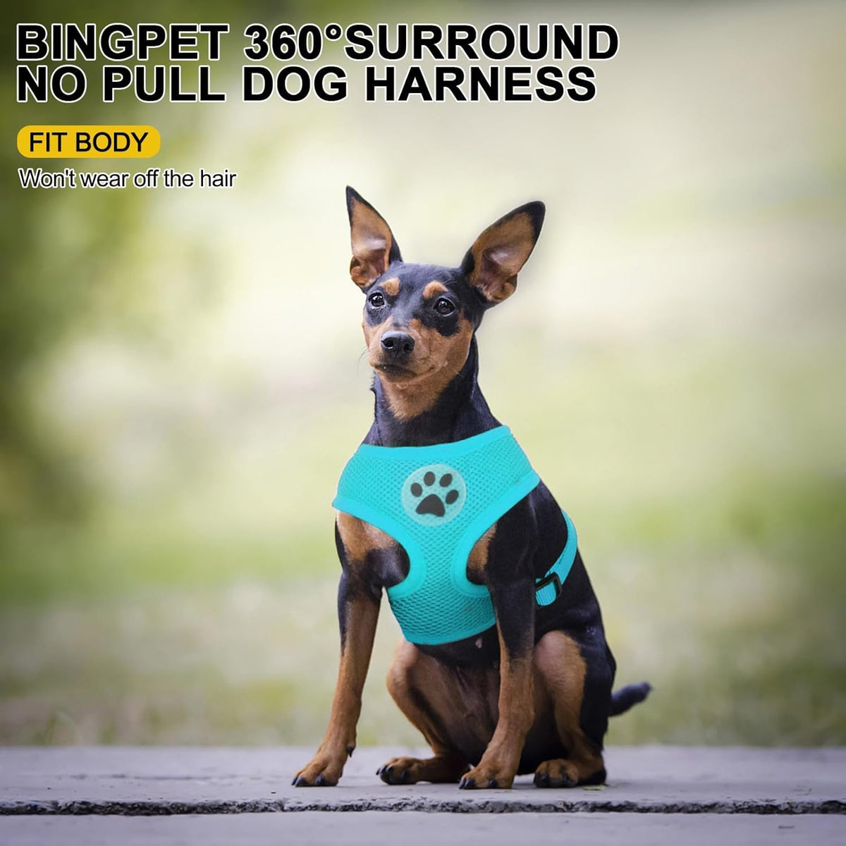 BINGPET No Pull Dog Harness, Soft Mesh Breathable All Weather Vest, Safety Protection Design, Durable Adjustable Step-in Easy Walk Dog Harness for Small Medium Large Dogs (Royal Blue, S)