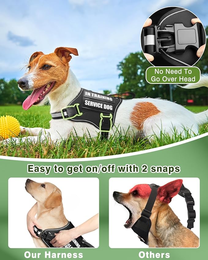 Service Dog Vest Harness and Leash Set+10 Patches for Puppy Small Dogs,Do Not Pet Emotional Support Dog Vest with 2 Soft Padded Handle for Everyday/Training (Black XS)