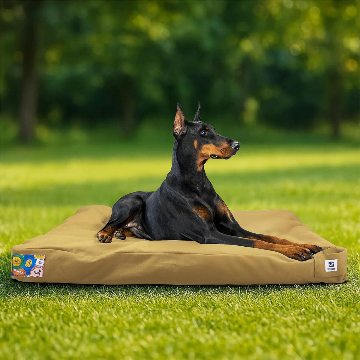 Sytopia 42-Inch Canvas Outdoor Dog Bed, Waterproof & Washable with Removable Cover, Ideal for Medium & Large Dogs, Chew-Proof Great for Indoor, Outdoor, Crate, or Patio Use (Yellow)