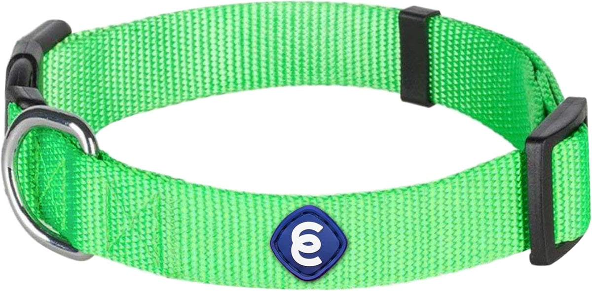 Blueberry Pet Essentials Small Dog Collar in Neon Green | Adjustable & Eco-Friendly Durable Nylon Strap | Classic Collar for Small Dogs, Boy & Girl Pets