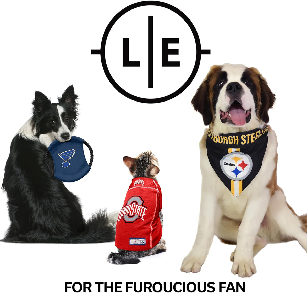 Littlearth NFL Pet Bandana - Reversible