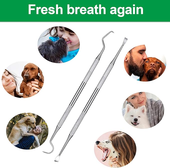 Mudder 4 Pieces Dog Dental Tools Pet Tooth Scaler and Scraper Set Stainless Double Headed Cleaning Tool Tartar Remover for Dogs Cats
