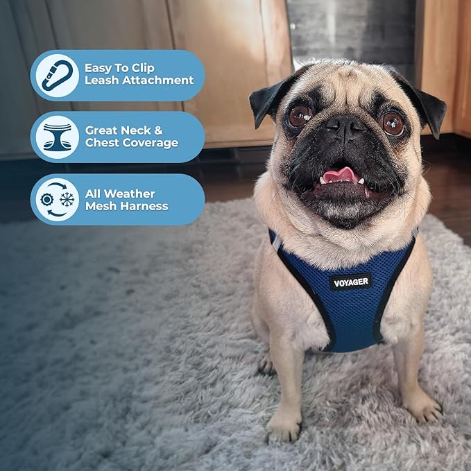 Best Pet Supplies Voyager Step-in Air Harness - All Weather Mesh, Reflective, No Pull Harness for Dogs, Cats - Secure with Hook & Loop Fastener, Buckle, Double D-Rings - Blue/Black Trim, XL