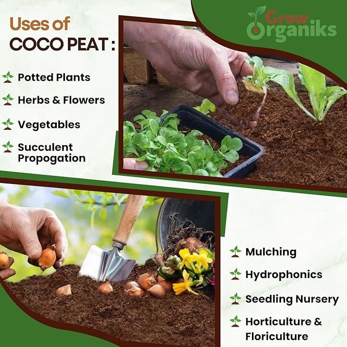 6 Pack Premium Coco Coir Brick for Plants | 100% Organic Compressed Coconut Coir Bricks Starting Mix, Coco Coir Fiber Coconut Husk for Planting, Gardening, Potting Soil Substrate, Herbs, 1.4 LB/Brick