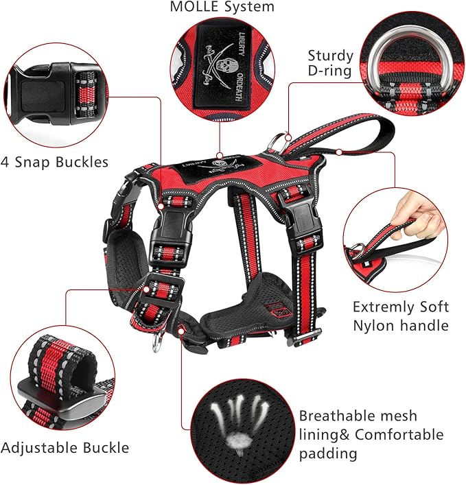 WINSEE Pet Harness Collar and Leash Set, All-in-one Reflective Dog Harness No Pull with Adjustable Buckles for Puppies, Small, Medium, Large, and Extra-Large Dogs (Medium, Red)