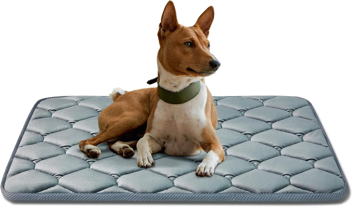 Dog Crate Mats,Soft Kennel Pads Washable with Anti-Slip Bottom,Dog Kennel Pads for Sleeping,Pets Mattress Cat Dog Beds for Large Medium Dogs(35x22,Grey)