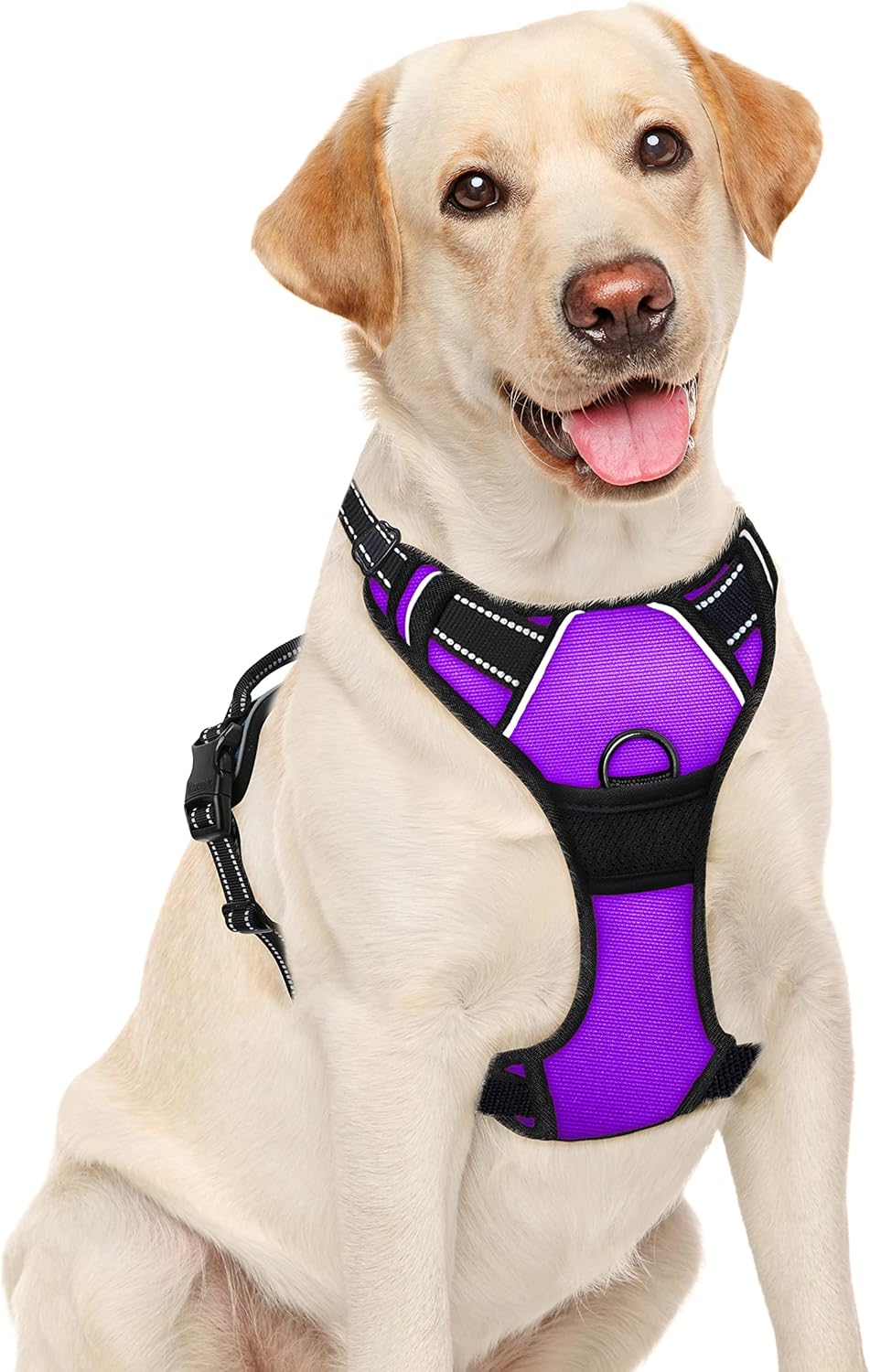 BARKBAY No Pull Dog Harness Large Step in Reflective Dog Harness with Front Clip and Easy Control Handle for Walking Training Running(Purple,L)