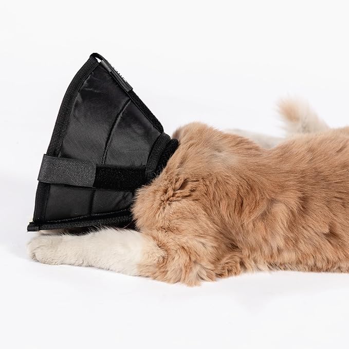 Cat Cone Collar - Soft Adjustable Cat Elizabethan Healing Collar – Lightweight Wound‑Protection Neck Cone for Licking/Biting Prevention, Fits Neck 6.5″–10.5″, Ideal Post‑Surgery & Injury Care
