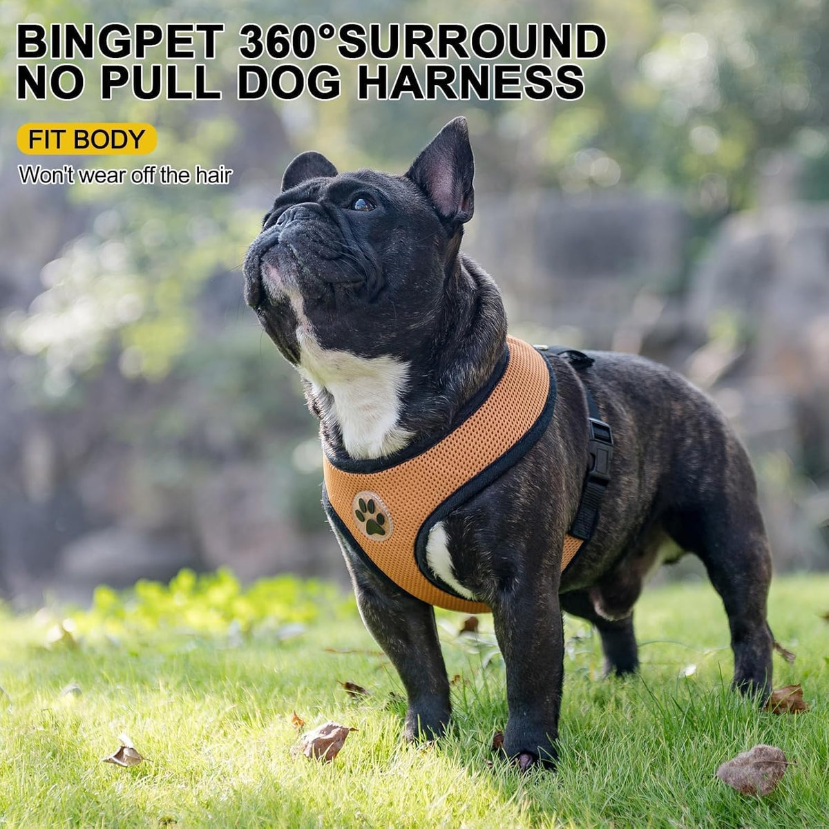 BINGPET No Pull Dog Harness, Soft Mesh Breathable All Weather Vest, Safety Protection Design, Durable Adjustable Step-in Easy Walk Dog Harness for Extra Large Dogs (Beige, XL)