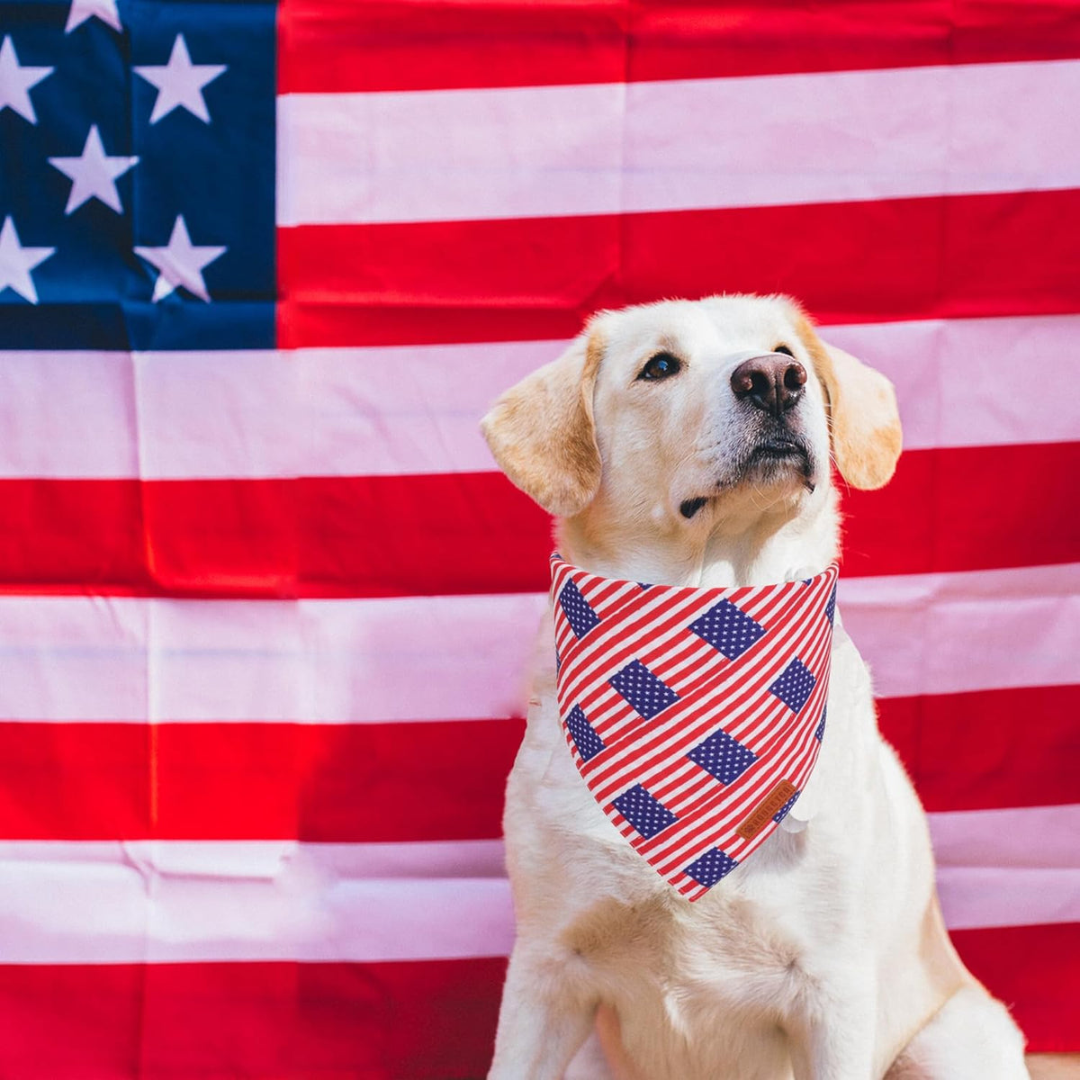 ADOGGYGO American Flag Dog Bandanas, Red Blue Patriotic Eagles USA Flag Scarf, Multi Size, 4th of July Bandana for Medium Large Dogs Pets (Large)