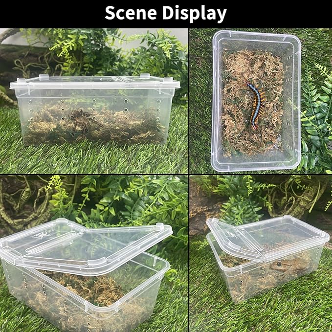 PINVNBY 8 PCS Reptile Feeding Box Portable Snake Breeding Box Lizard Cage Hatching Container 7.48"x4.92"x2.95" Transparent Plastic Pet Houses for Spider Scorpion Gecko Insect Tortoise Treefrog(Black)