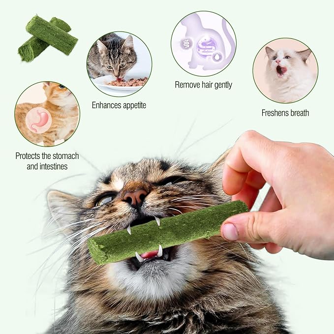 225g Cat Grass Teething Stick, Delicious Cat Treat Snack Edible Cat Chew Toy for Teeth Cleaning and Hairball Removal in Cats