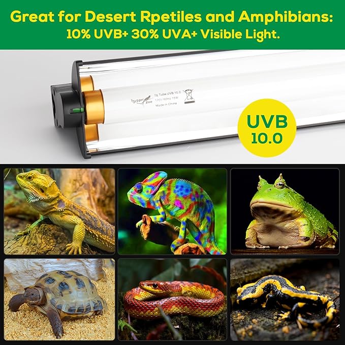 T5 UVB Reptile Light Fixture HO UVB Bulb Lighting Combo Kit, 10.0 UVB Light for Reptiles Terrarium Hood with 8W Reptile Light Bar UVA UVB Desert Lamp for Bearded Dragon Turtle Tank, 12 Inch