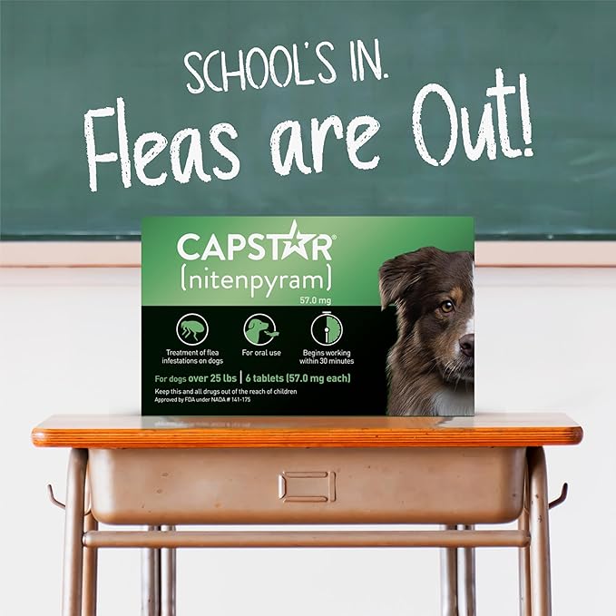 CAPSTAR Oral Flea Treatment for Dogs, Fast Acting Tablets Start Killing Fleas in 30 Minutes, Medium & Large Dogs (Over 25 lbs), 6 Doses