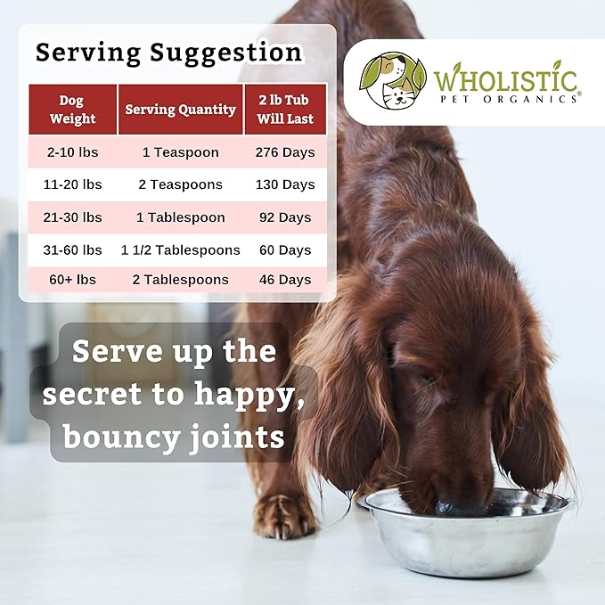 Wholistic Pet Organics Joint Mobility GLM - 2 Lb - Glucosamine for Dogs and Chondroitin Supplement Green Lipped Mussels - Joint Supplement for Dogs - Arthritis Pain Reliever for Large & Small Breeds