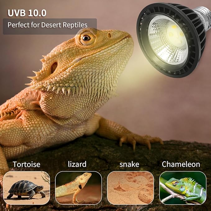 UVB Light Bulb for Reptiles, LED 3W 10.0 UVA UVB Heat Lamp Bulbs Ideal for Rainforest Reptiles, Bearded Dragons Lizard Turtle Tortoise Iguanas Chameleons Snake (1 Pack)