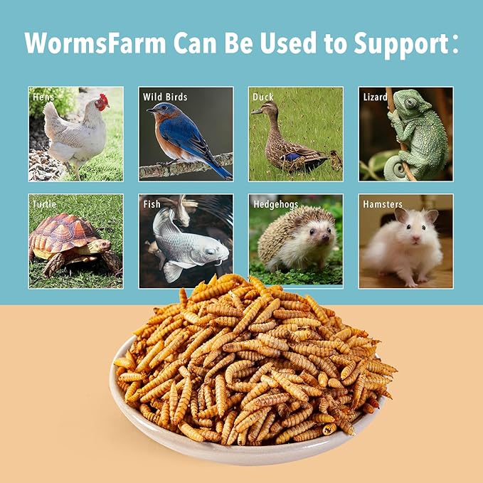 11LB Dried Black Soldier Fly Larvae,Chicken Feed More Calcium Than Mealworms for Chickens,Laying Hens,Blue Birds