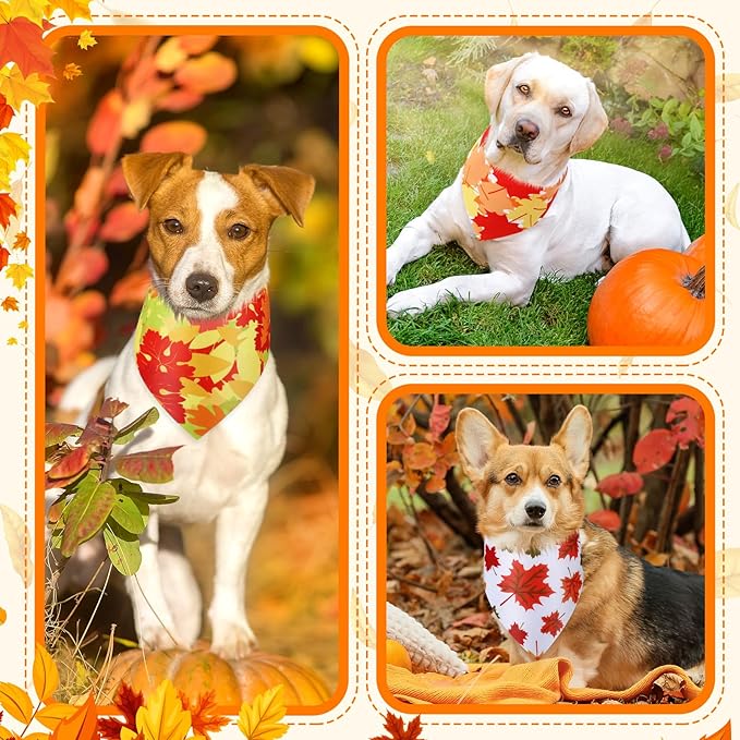 Abbylike 50 Pcs Fall Dog Bandana Bulk Maple Leaves Bandana for Dogs Triangle Kerchief Bibs Scarf for Small Medium Large Pet Autumn Thanksgiving Costume Accessories, 25 Styles (31.5 x 21.7 x 21.7 Inch)