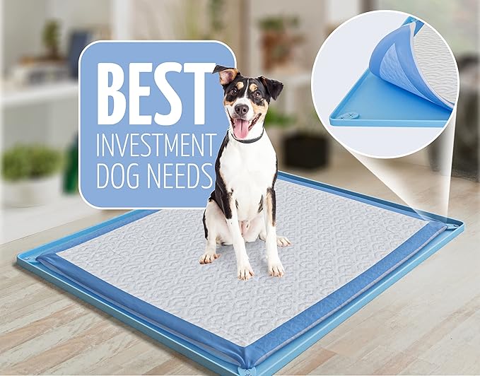Skywin TidyFriend Pee Pad Holder Tray for 30 x 23 InchesPeepad with Corner Clips, 2 Pack Silicone Dog Potty Tray, Easy to Clean No Spill Dog Potty Training Pad Holder (Blue)