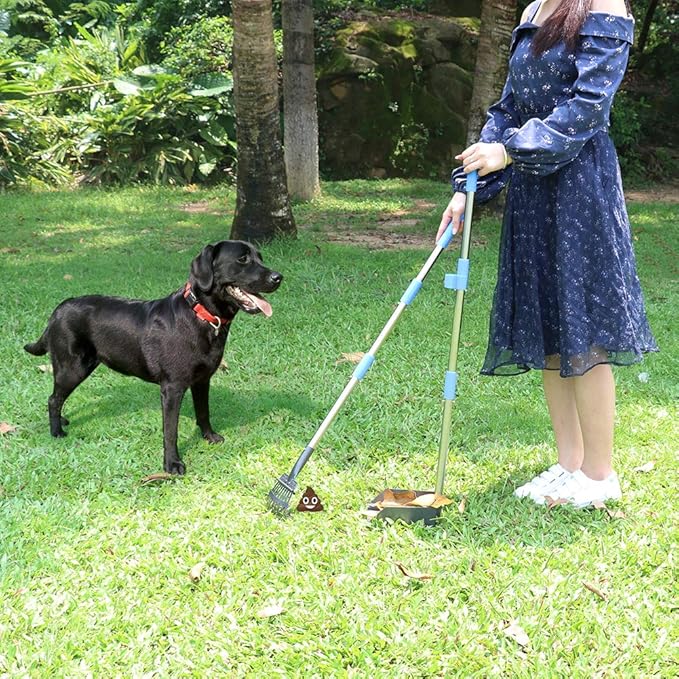 QiMH Upgraded Dog Pooper Scooper Extra Large, Adjustable Long Handle Stainless Metal Pet Poop Tray and Rake Set for Large Medium Small Dogs, Dog Waste Removal Bin Rake, Great for Grass, Street, Gravel