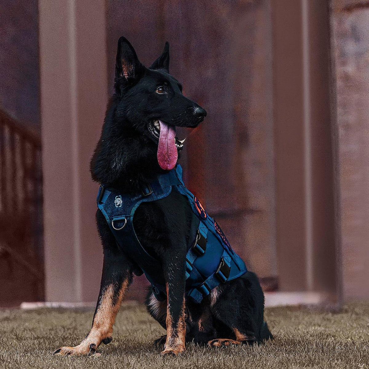OneTigris Tactical Dog Harness for Small Medium Large Dogs, Mesh Design Service Dog Vest Breathable Military Dogs Molle Vests with Handles, Harness for Walking Hiking Training (Blue, XL)