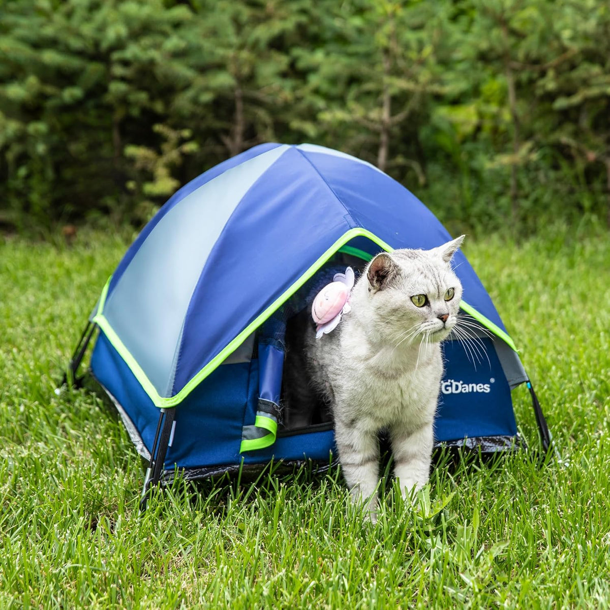GDanes Blue Cat Tent, Large Cave Bed for Indoor Cats and Small Dogs with Soft Pad - 22" x 22" x 16"