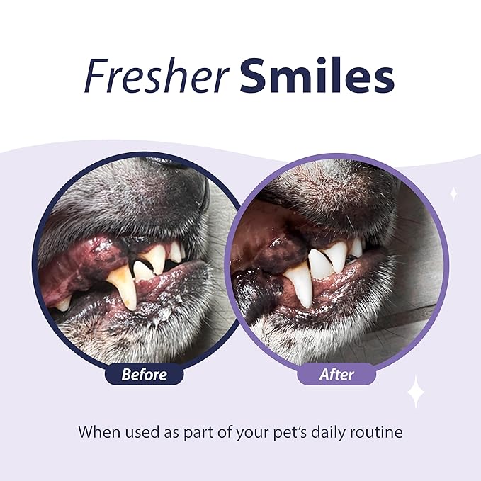 Dental Fresh Advanced Plaque and Tartar Water Additive, 17oz – Dog Teeth Cleaning Formula to Freshen Breath and Improve Cat & Dog Dental Care