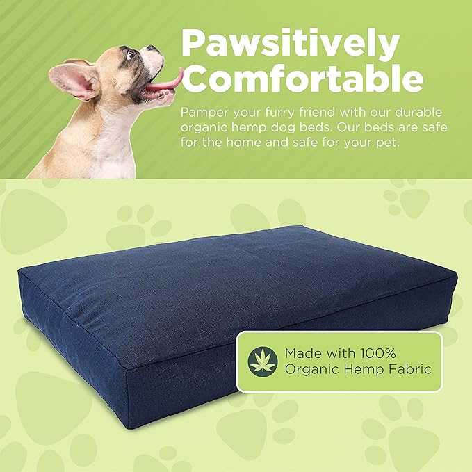 Medium - 36 x 24 x 5 - Cactus Premium Org Hemp Dog Bed - Organic Latex Fill - Removeable Cover