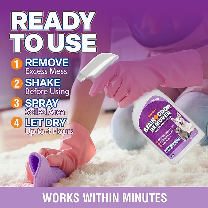 OdorPet Pet Stain Remover and Odor Eliminator - 16 Oz Ready To Use Spray, Non Staining, Professional Strength, Lavender Scent by Alpha Tech Pet