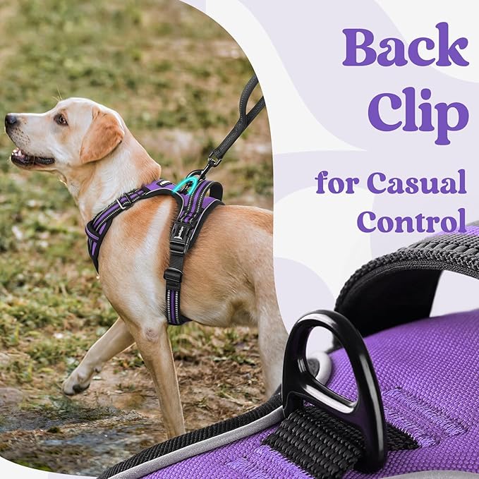 rabbitgoo Dog Harness for Large, No Pull Pet Harness with 3 Buckles, Adjustable Soft Padded Vest with Control Handle, Walking Reflective Pet Vest for Large Dogs, Purple, L