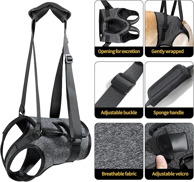 HEYWEAN Dog Sling for Large Dogs Hind Leg Support Harness Ideal for Elderly Injured Arthritic Dogs Provides Rehabilitation Aid for Weak Back Legs Comfortable and Durable Design