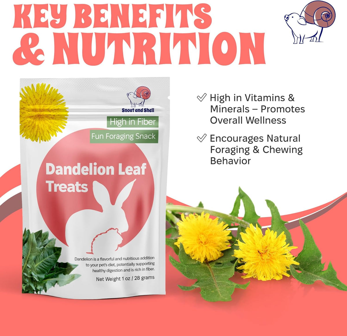 Snout and Shell Dandelion Leaf Treat for Small Pets – 1 oz (28g) | High-Fiber, Natural Foraging Snack for Rabbits, Guinea Pigs, Chinchillas, Squirrels & More