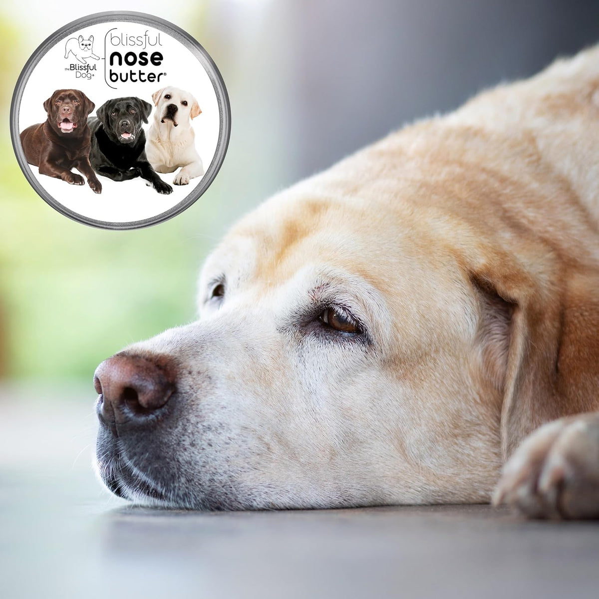 The Blissful Dog Labrador Retriever Nose Butter, Versatile Dog Nose Balm for Dry Nose, Handcrafted Nose Moisturizer, Easy-to-Apply Dog Essentials, Unscented, 2 oz.