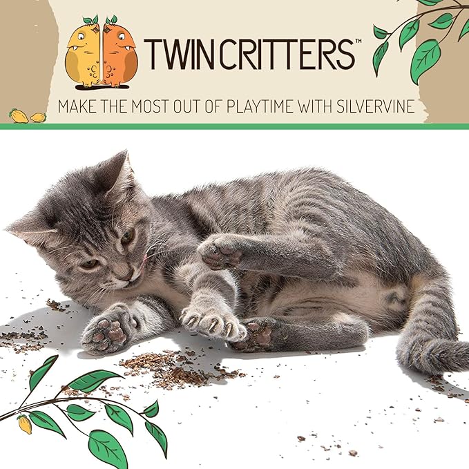 KittiKrack Rock Organic Silvervine Catnip Substitute for Cats & Kittens | All-Natural Wild Harvested Silvervine Granules | 4 Refills for TWINCRITTERS Refillable Plush Cat Toys | 10g