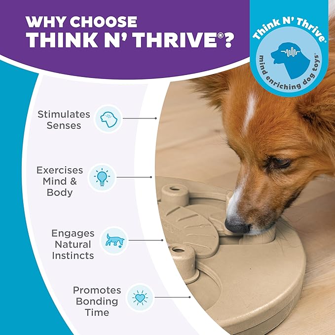 Outward Hound by Nina Ottosson Dog Worker Treat Puzzle Enrichment Toy, Level 3 Advanced, Tan