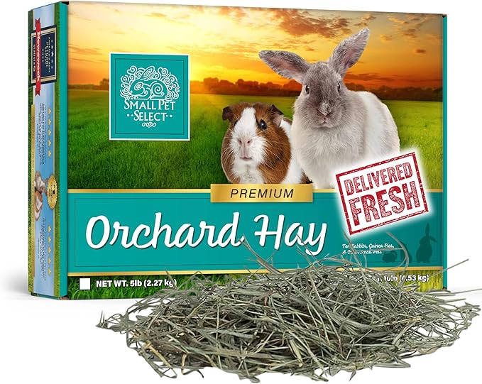 Small Pet Select Orchard Grass Hay Pet Food for Rabbits, Guinea Pigs, Chinchillas and Other Small Animals, Premium Natural Hay Grown in The US, 5 LB