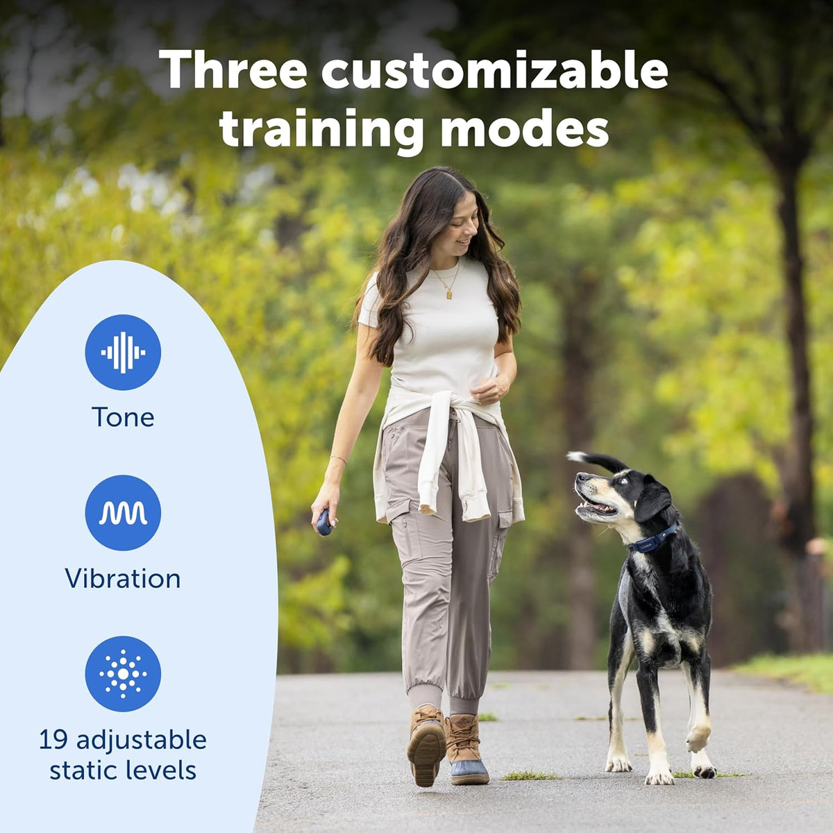 PetSafe Pro Remote Trainer Add-A-Dog Collar – Extra Collar for Dog Training Collar with Remote – Waterproof – 1000 Ft Range – Tone, Vibration and 19 Levels of Static – Sleek, Low-Profile Design