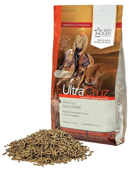 UltraCruz Equine MSM®, 10 lb