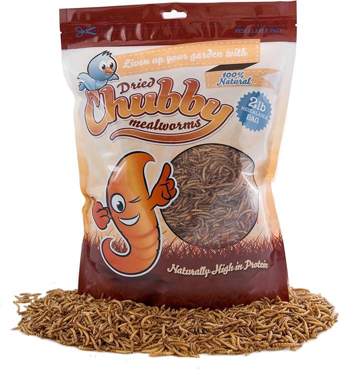 Chubby Mealworms Bulk Dried Mealworms for Wild Birds, Chickens etc. (2Lbs)